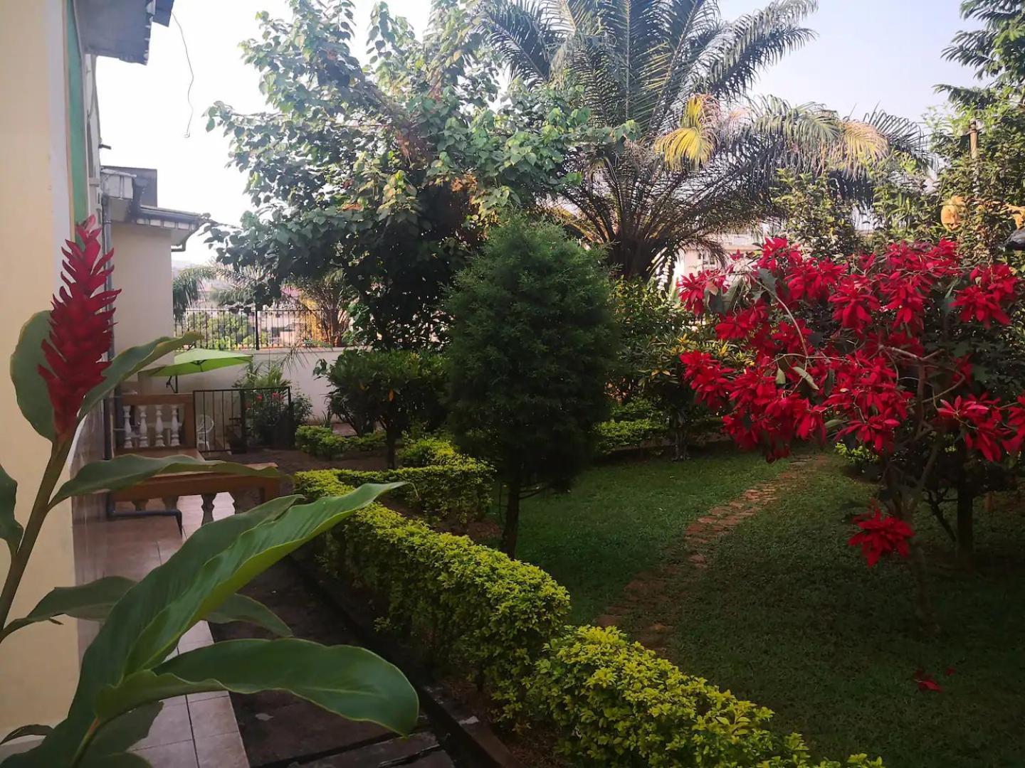 Tout Confort Avec Jardin Entree Bastos Yaoundé Buitenkant foto