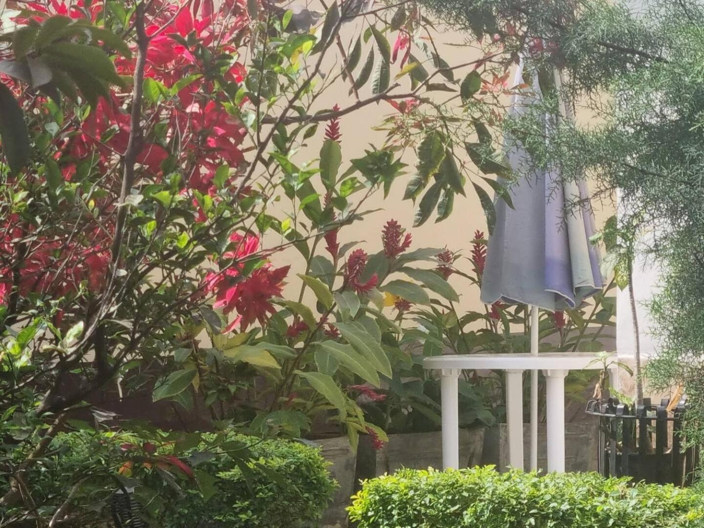 Tout Confort Avec Jardin Entree Bastos Yaoundé Buitenkant foto