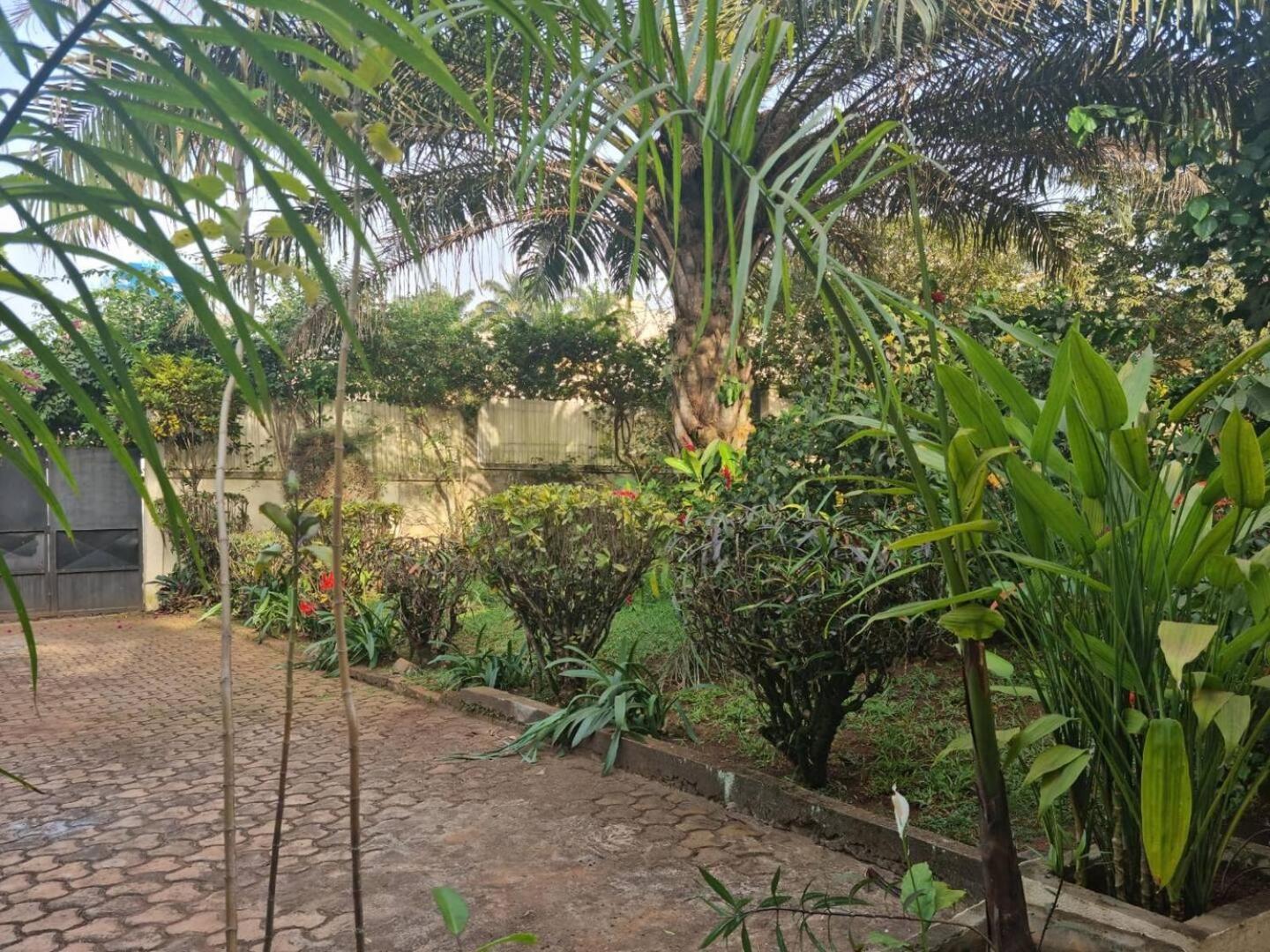 Tout Confort Avec Jardin Entree Bastos Yaoundé Buitenkant foto
