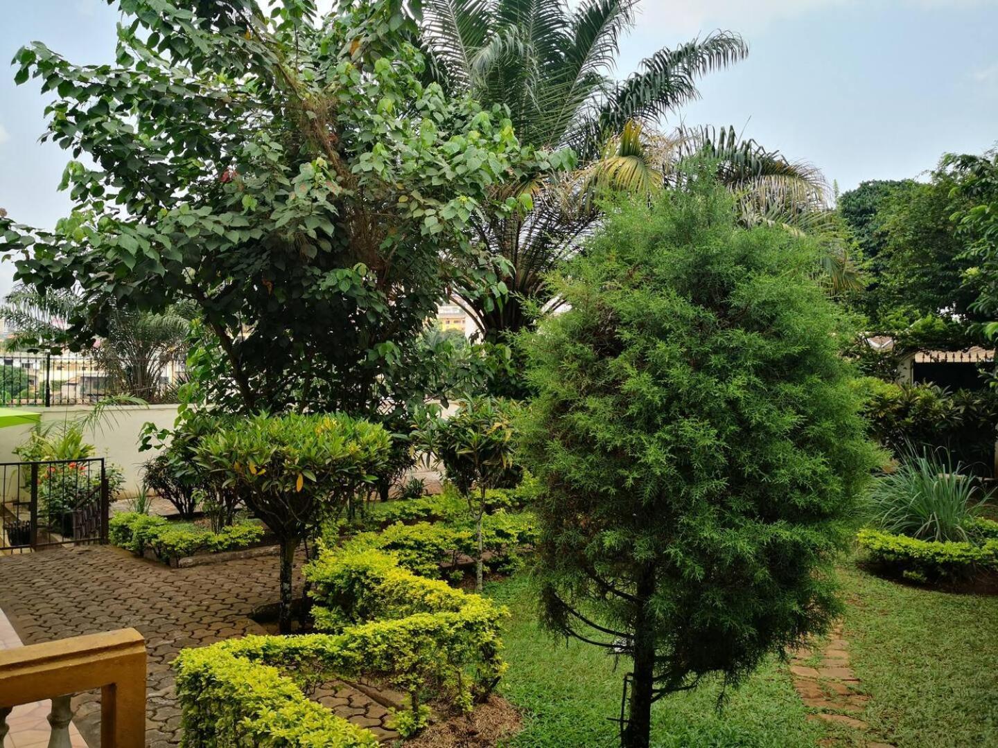 Tout Confort Avec Jardin Entree Bastos Yaoundé Buitenkant foto
