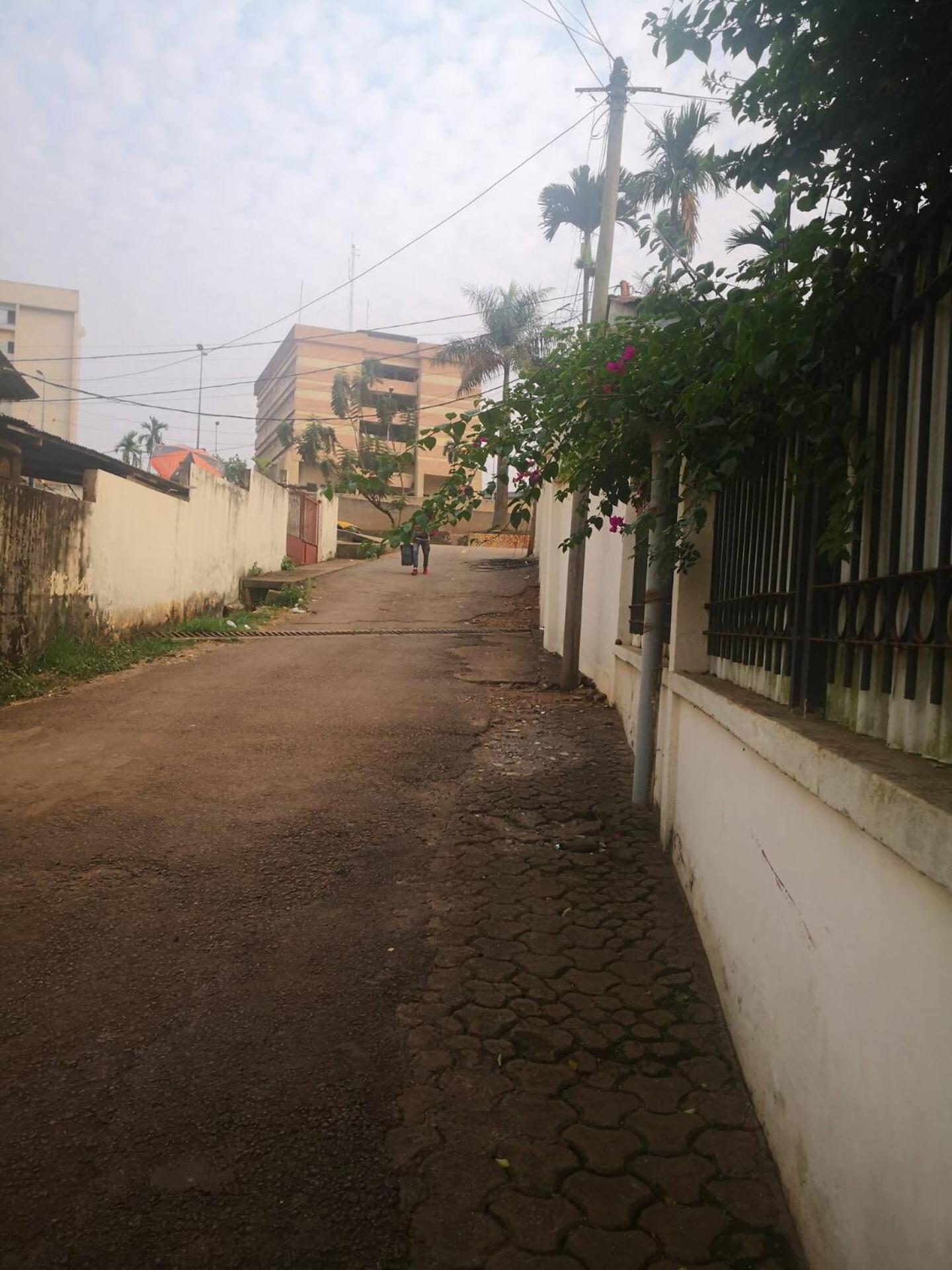 Tout Confort Avec Jardin Entree Bastos Yaoundé Buitenkant foto